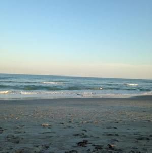 Meet your Posher, Gina